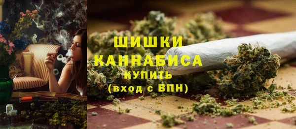 спиды Дмитриев
